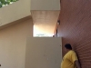 egg1